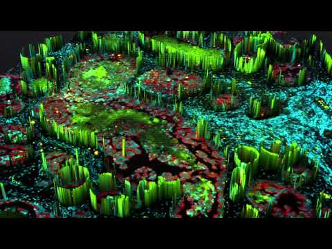 Quantitative Imaging Systems and KDAB - Revolutionizing Cancer Research